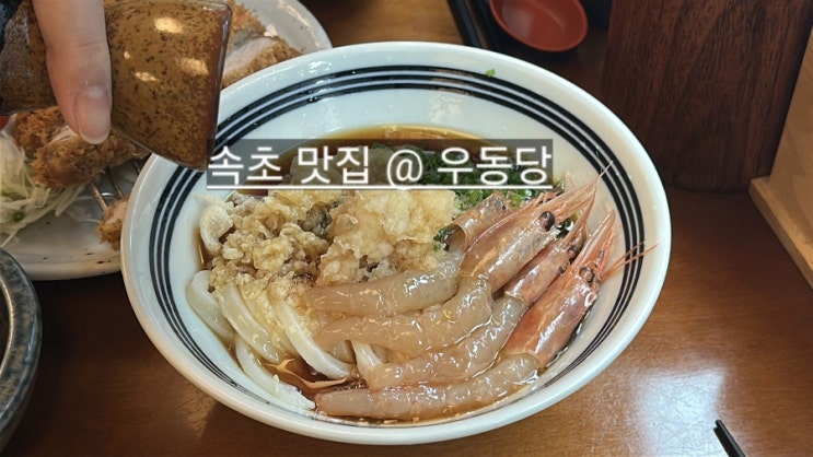  속초 해변가 우동당 면발이 탱글탱글 붓카케 완전 맛집