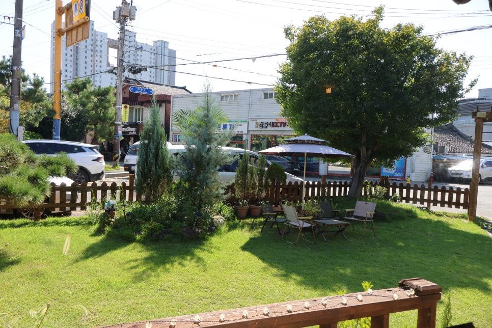 달보드레 사진 5