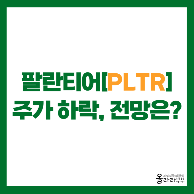  깜짝 실적에도 팔란티어 PLTR 주가 하락한 이유 3가지