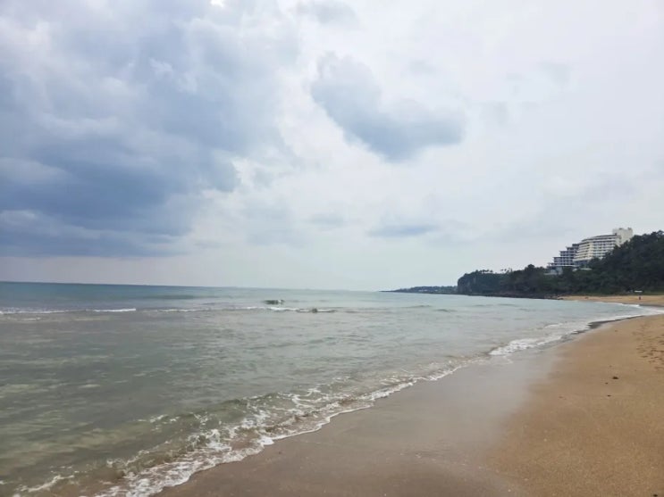  제주도 여행 3일차 ️