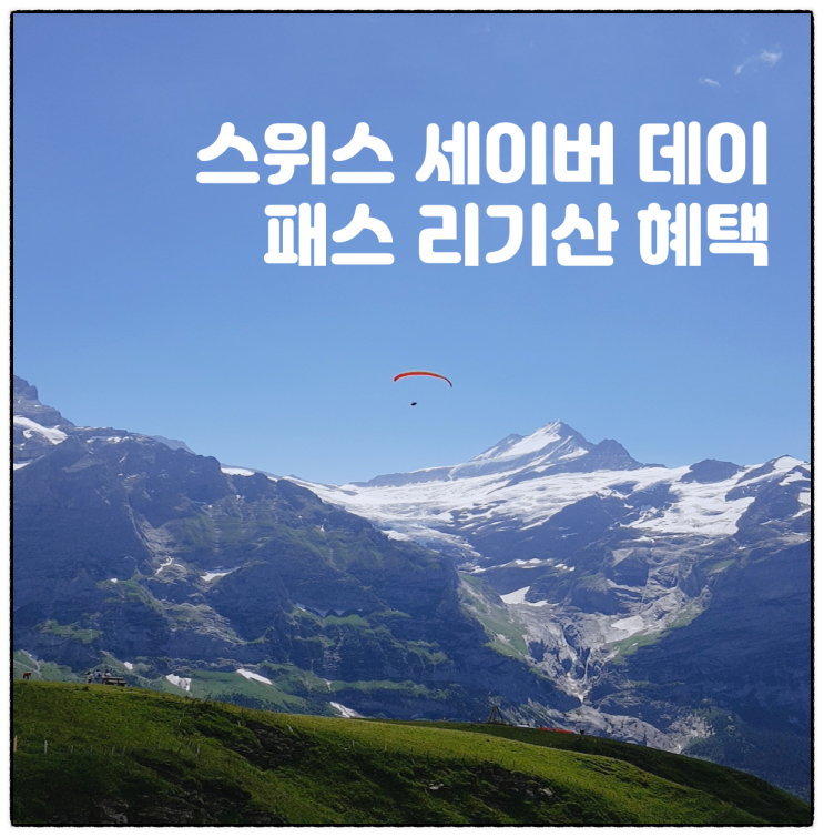  스위스세이버데이패스 리기산 구매 혜택 가격 정보 알려드립니다.