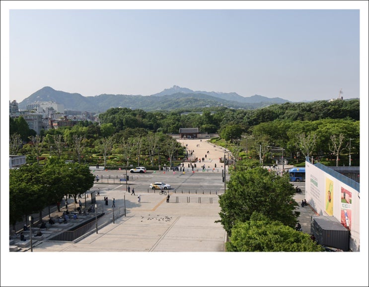 <b>종묘</b> 앞 세운4구역 142ｍ 빌딩? 미친 <b>오세훈</b> 또 뻘짓?