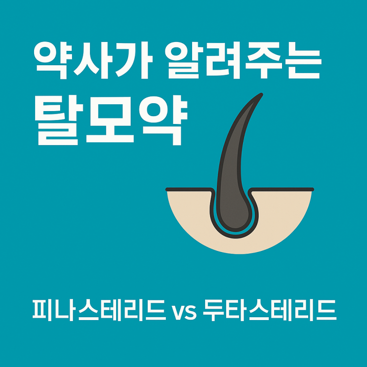  약사가 알려주는 탈모약 피나스테리드 vs 두타스테리드