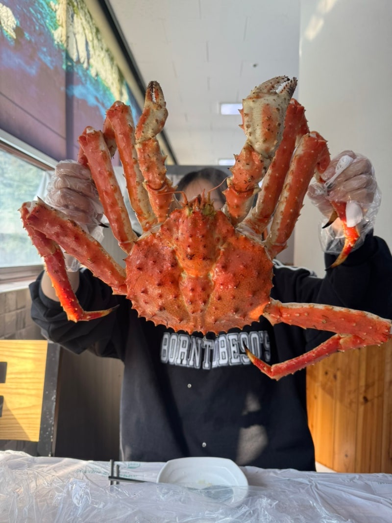 대구 킹크랩 맛집 “매천시장 킹크랩”시세 포항 죽도시장 킹크랩