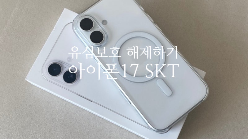 아이폰17 SKT 서비스없음 유심보호해제 기기변경 집에서 바로 해결하기