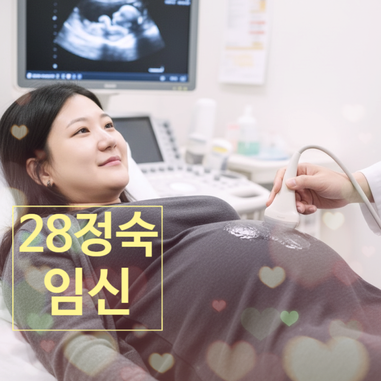  나솔28기 정숙 '나솔이 엄마' 임신 확정! 임신 숨기려 올린 사진 반전 정체