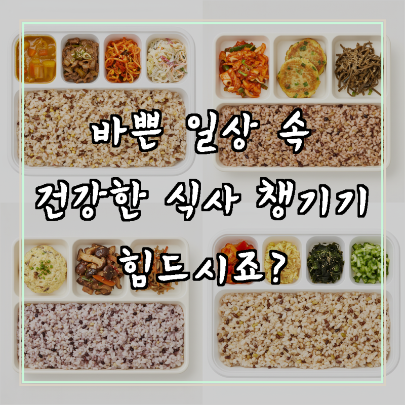 532다이어트 건강식 식단 반찬 세트 밑반찬 정기 배달, 240g, 2개