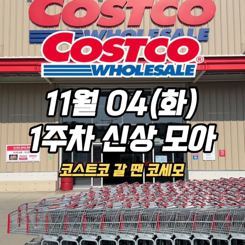 코스트코 11월 첫째주 신상 모아! / 두바이 초콜릿잼, 아보카도마요와 이것저것