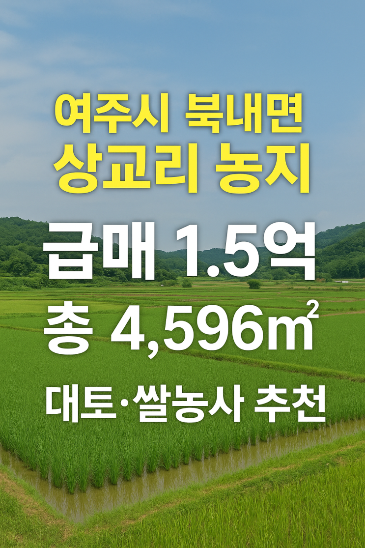   여주시 북내면 상교리 농지 급매 ,총 4,596 , 1억5천만 원 ,쌀농사·대토용 추천