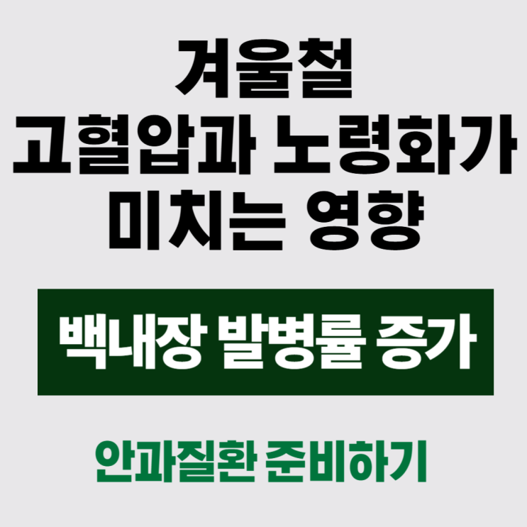  ️겨울철 고혈압으로 백내장 발병 증가!  백내장, 황반변성, 녹내장 진단과 수술비까지!