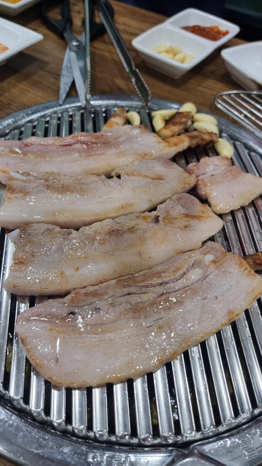 코기조은집 사진 5