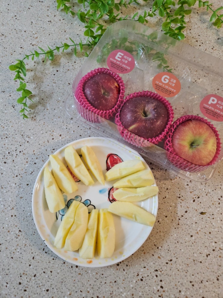  [마이핏 GAP 인증 사과] 내 입맛대로 즐기는 취향 고르기 Ver.2 세트  (이지플 + 감홍 + 아리수)