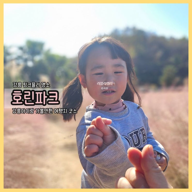  강릉 핑크뮬리 명소 호린파크, 강릉아이랑 가볼만한 여행지 코스로 딱이에요