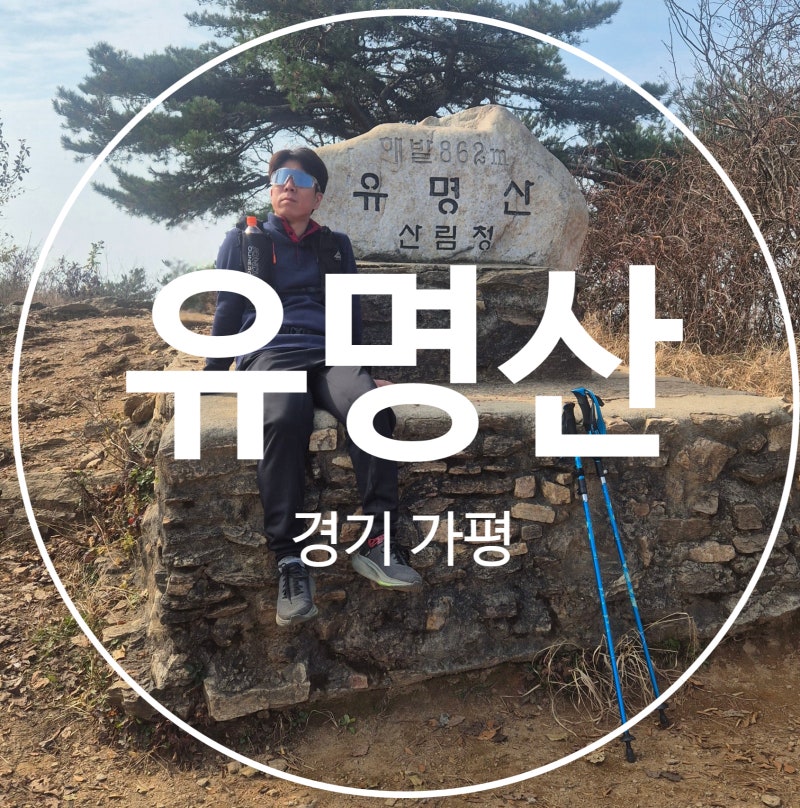 100대 명산 유명산 등산초보 필수코스 억새 명소 배너머고개 최단코스 후기