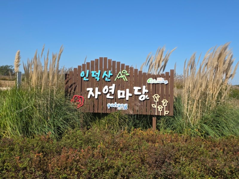 포항 가을 여행 억새 군락지 인덕산 자연마당