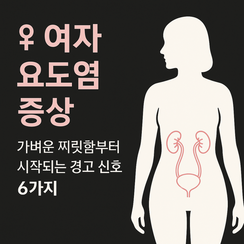 여자 요도염 증상 — 가벼운 찌릿함부터 시작되는 경고 신호 6가지