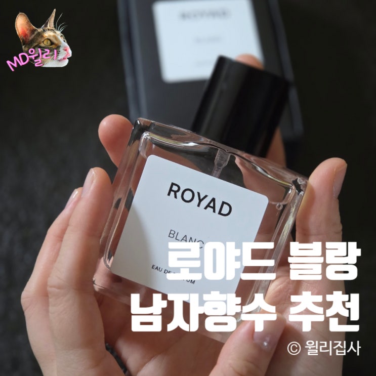  남자 향수 추천 비누향 니치향수 ROYAD 로야드 블랑 오드퍼퓸