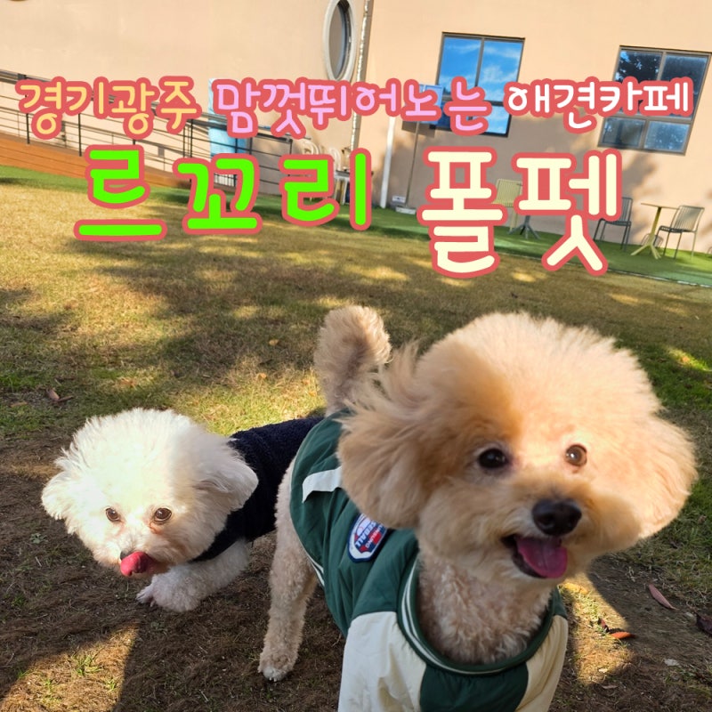 르꼬리 폴펫