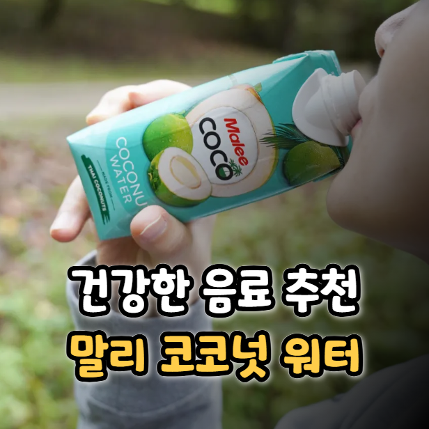  말리 코코넛 워터, 운동 후 갈증 해소에 좋은 코코넛 음료 추천
