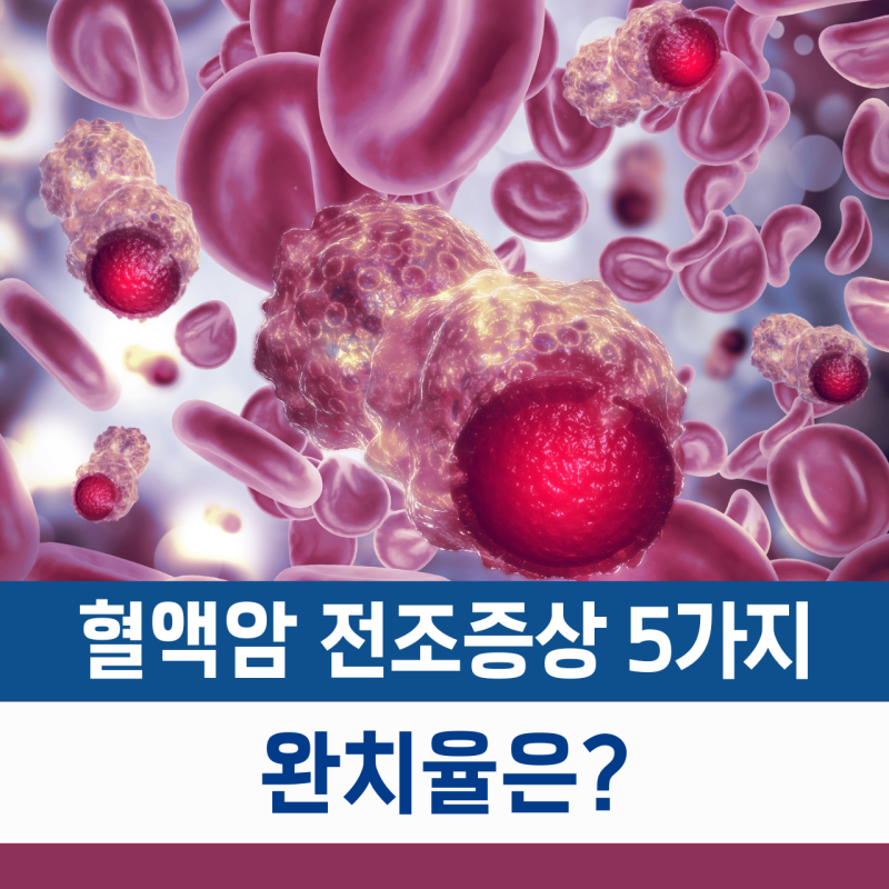 혈액암 전조증상 5가지, 완치율은?
