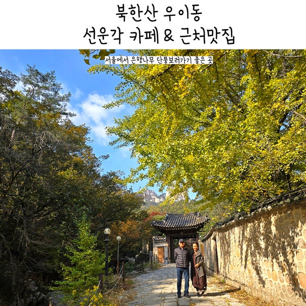  우이동 선운각 카페 가는법 주차 서울 은행나무 주변 맛집