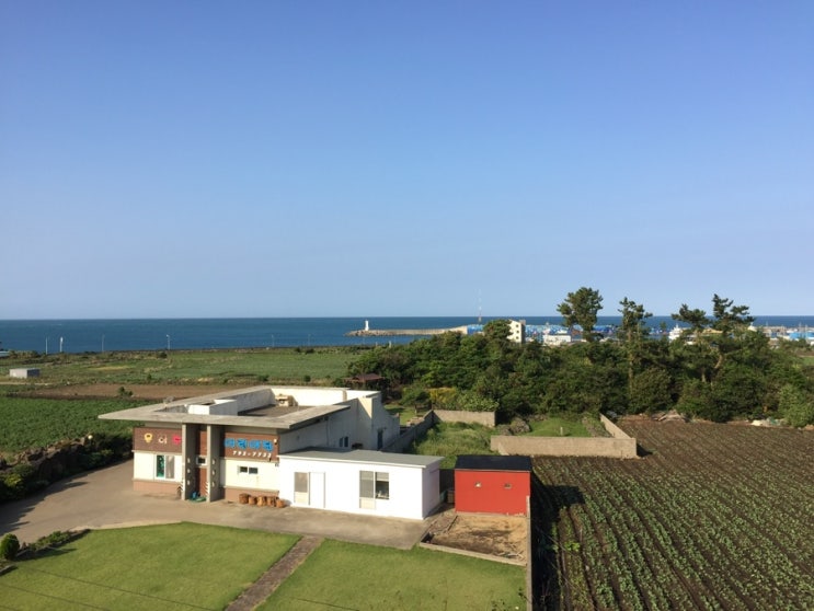  18 제주 한림칼국수, Cafe Saudade, 산방식당, 이중섭 미술관, Franzstore, 스시 호시카이 디너