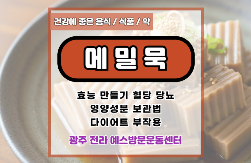 메밀묵 효능 만들기 혈당 당뇨 영양성분 보관법 다이어트 부작용