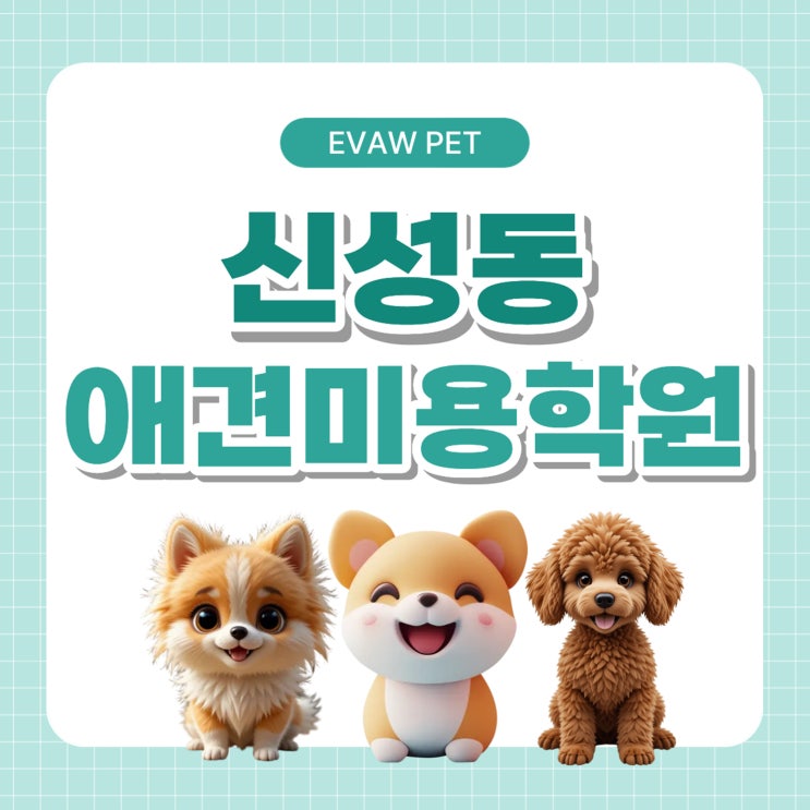  신성동애견미용학원 취업연계 프로그램, 현장 중심 커리큘럼으로 차별화된 경쟁력