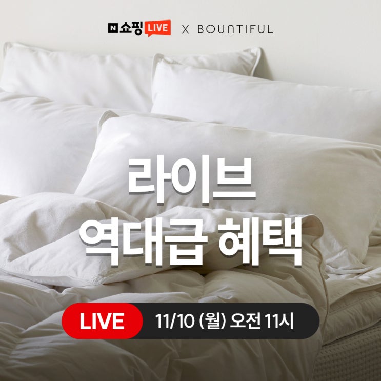  바운티풀x네이버쇼핑라이브 11월 '넾다세일'역대급 혜택!