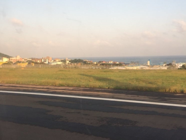  18 제주 미풍해장국, 비자림, 풍림다방, 시흥 해녀의 집, 맥파이 브루어리, 삼양해변, 더 스푼 비스트로