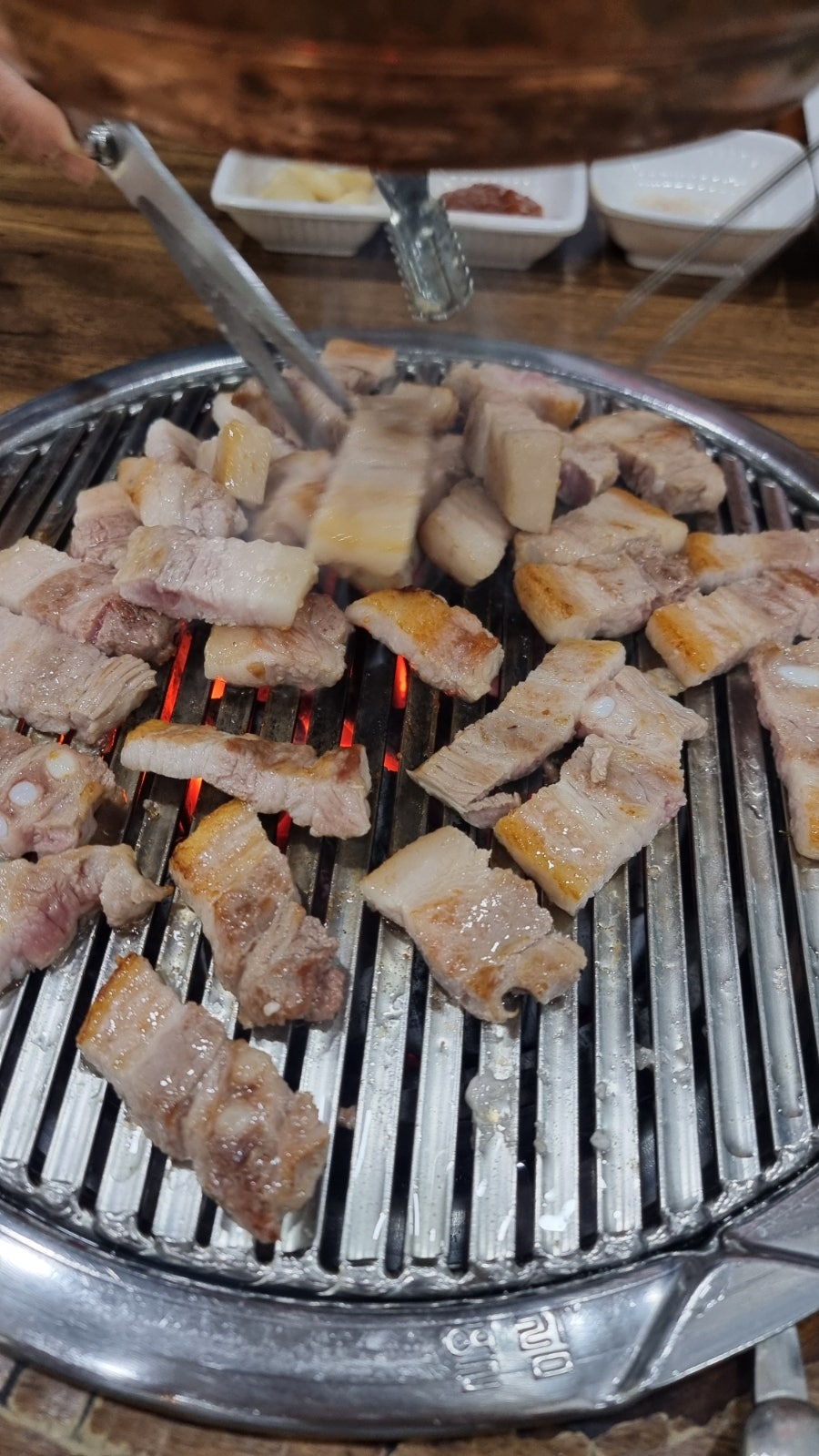 코기조은집 사진 3