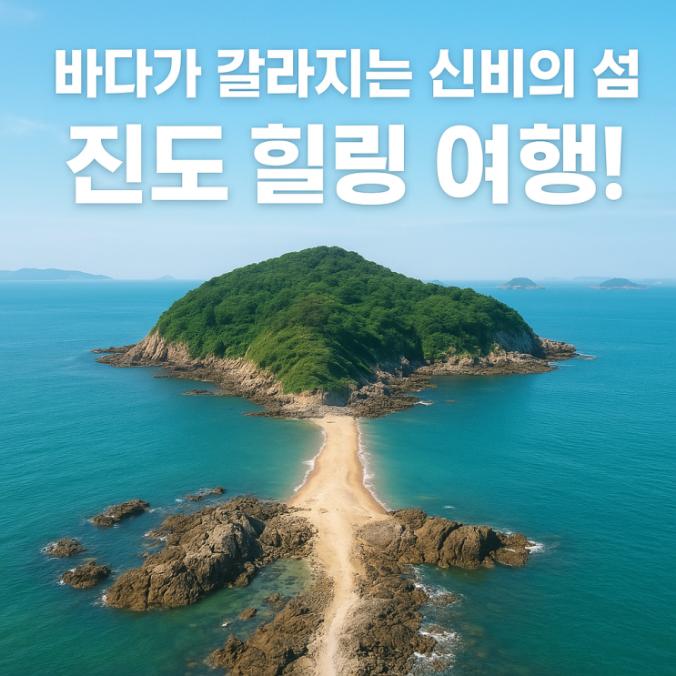  진도 가볼만한 곳 BEST 4 자연·예술·바다를 한 번에!