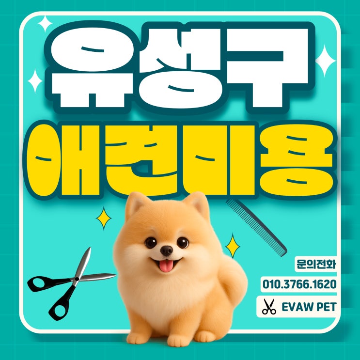  대전 유성구애견미용학원 — 실무 중심 교육으로 현장에 바로 투입되는 방법