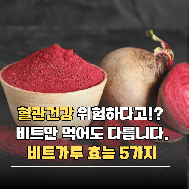 혈관건강 위험하다고!? 비트만 먹어도 다릅니다. 비트가루 효능