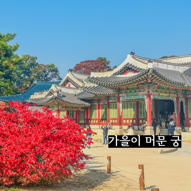  서울 가볼만한곳 창덕궁 포토존 입장료 후원 예약방법