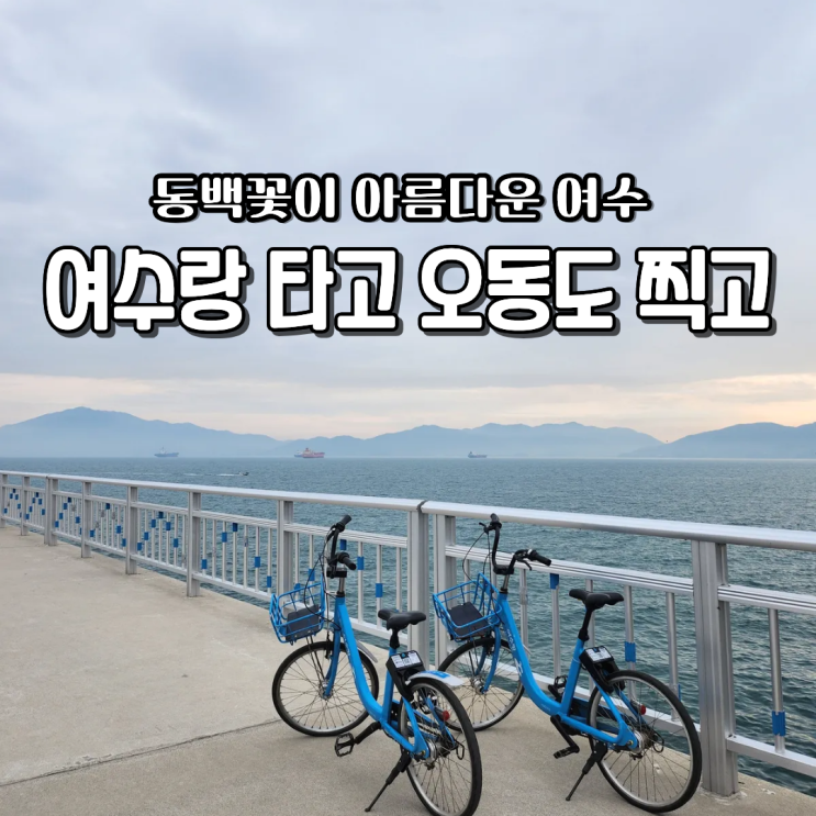  여수자전거대여 요금 방법 동백열차 오동도 섬여행