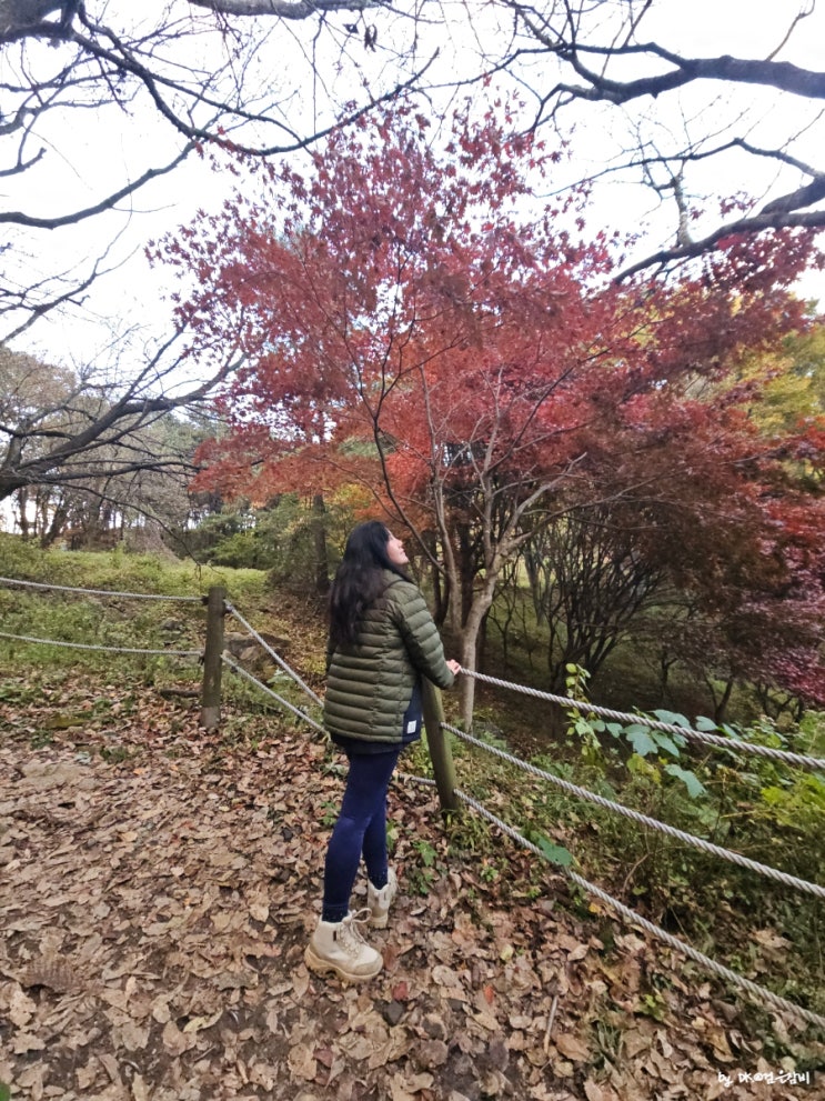  산성역 출발 가을 남한산성 등산 코스 단풍 시기와 일몰 그리고 버스로 하산하기
