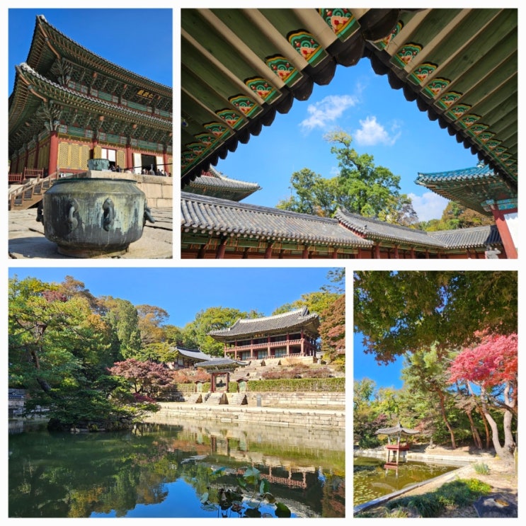  창덕궁 후원 비원 예약 방법 현장 예매 서울단풍 명소