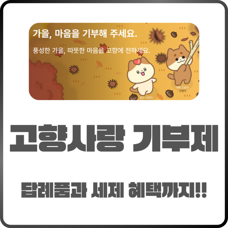  고향사랑 기부제 지역과 답례품 추천부터 절세 팁까지 완벽 정리