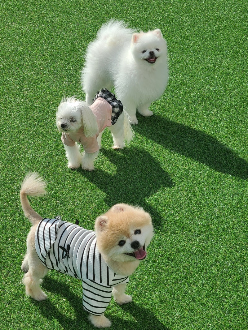 사진 6