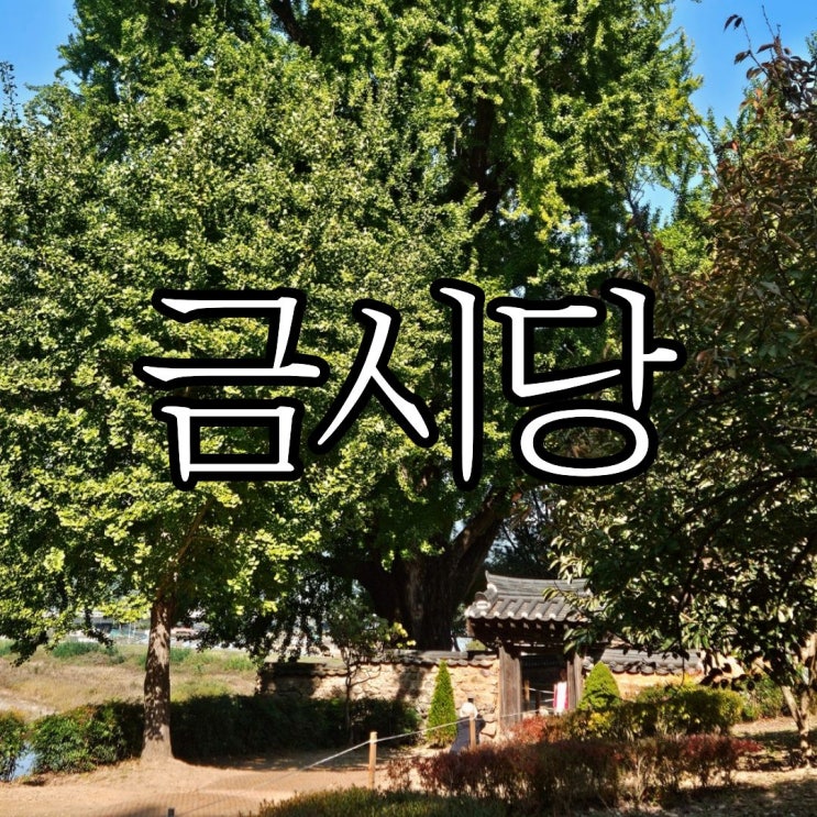  경남 단풍 명소 밀양 가볼 만한 곳 '금시당' 단풍현황