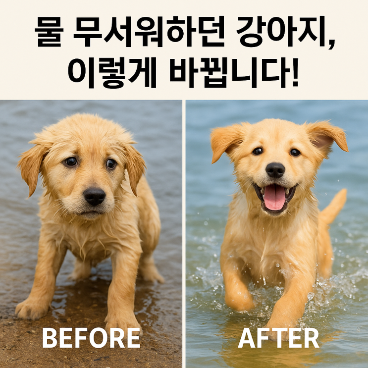   강아지 목욕 적응 훈련: 물 싫어하는 아이도 즐겁게!