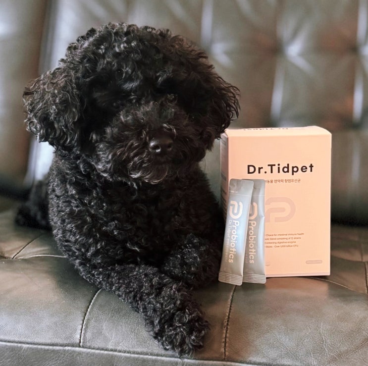  강아지 고양이 변비 묽은 변 설사할 때 닥터티트펫 유산균을 추천합니다.