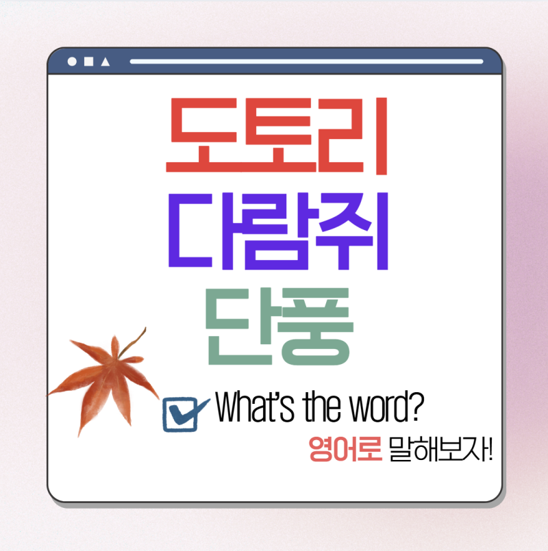 도토리, 단풍, 다람쥐 영어로 발음까지 쉽게 (가을 영어 표현)