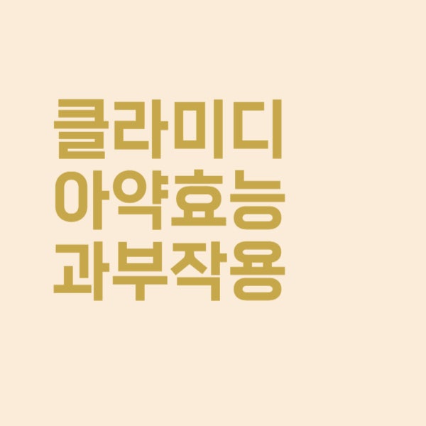  지스로맥스정 250mg 클라미디아 치료 약 효능과 부작용