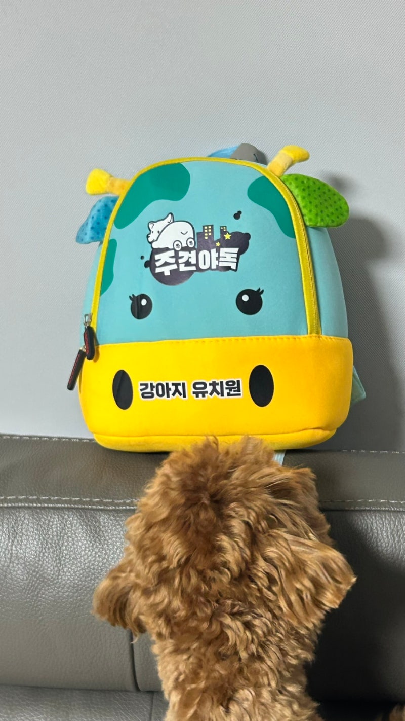 주견야독