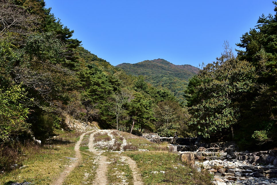 삼나무골 사진 6