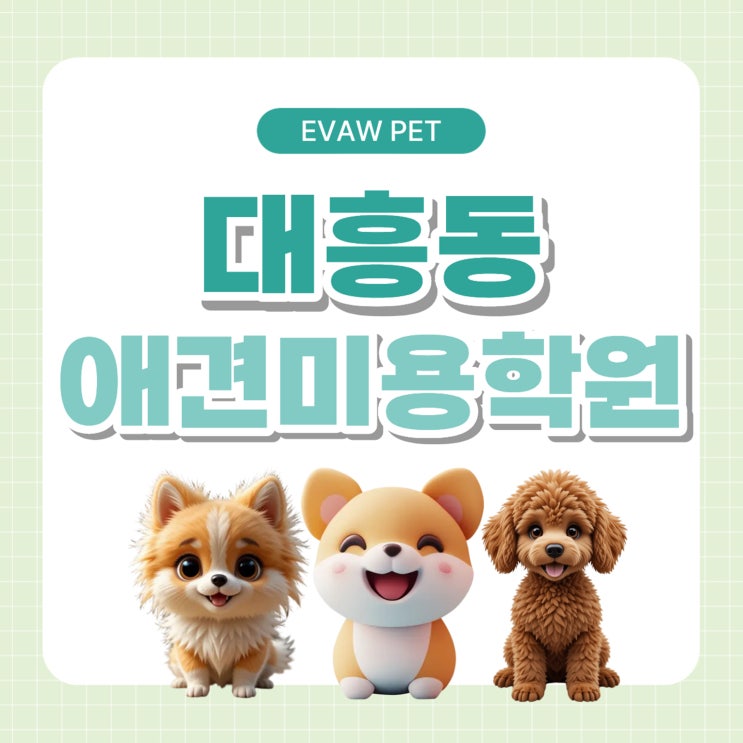  대흥동애견미용학원, 직장인도 가능한 야간·주말반! 이직 준비부터 취업연계까지 완벽 지원