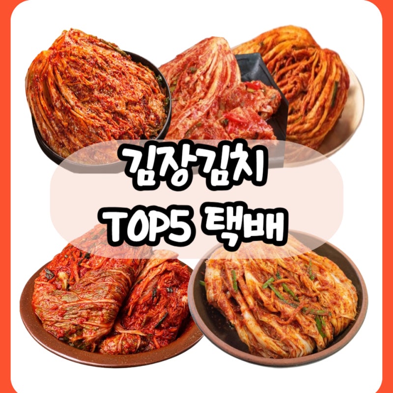 국내산 전라도식 김장 배추김치 추천 + 10kg 택배 TOP5(얼,운림가,신아,말바우시장선,한백)