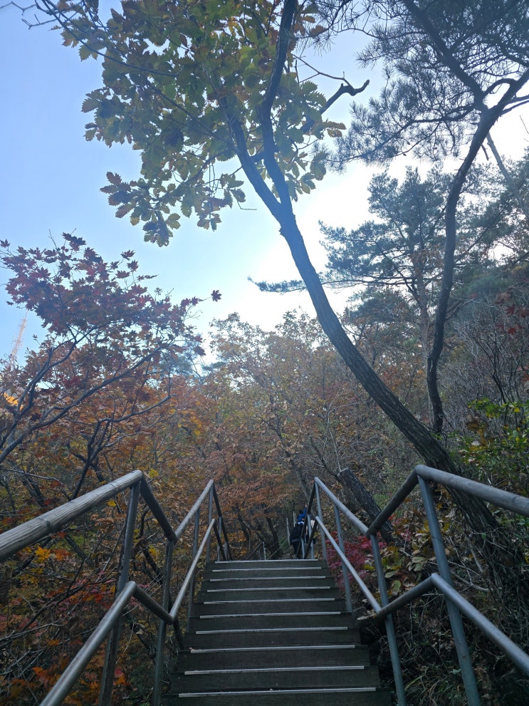  [관악산 연주대 등산후기] 서울대입구 코스 완등기! 초보자도 가능한 루트